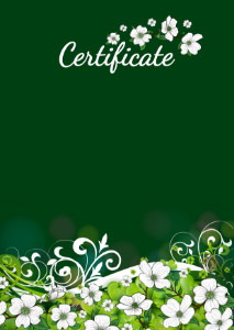
Certificate template «Summer holiday»