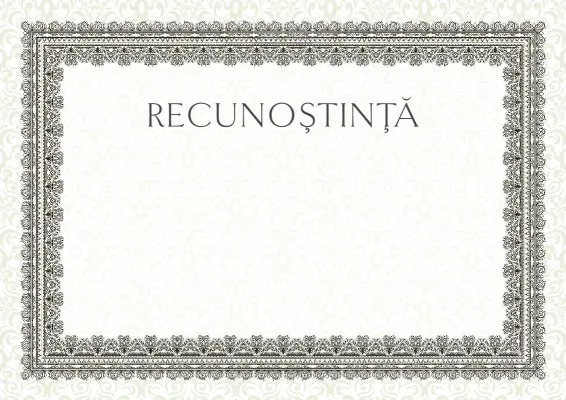 Șablon de mulțumire solemnă «Studiu de vară»