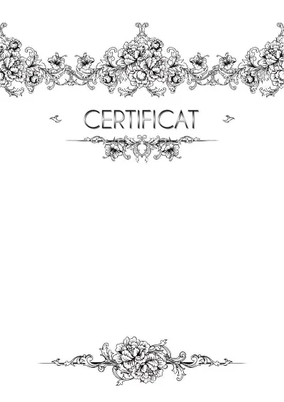 Șablon de certificat artistic „Lejeritatea brizei”