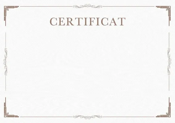 Modèle de certificat solennel «Minimalisme»