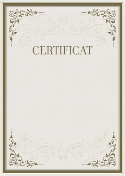 Șablon de certificat solemn «Rigoarea modelelor»