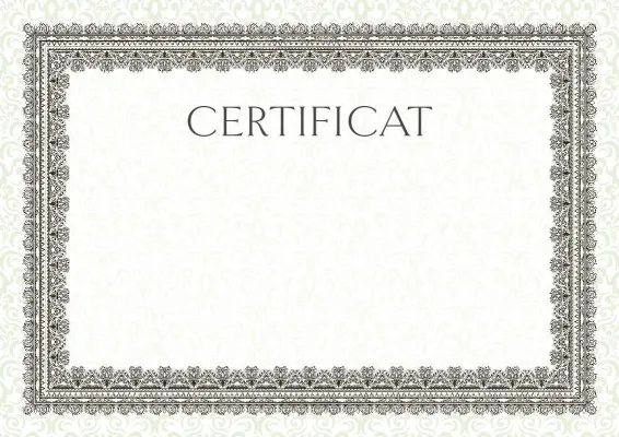 Șablon de certificat solemn «Studiu de vară»