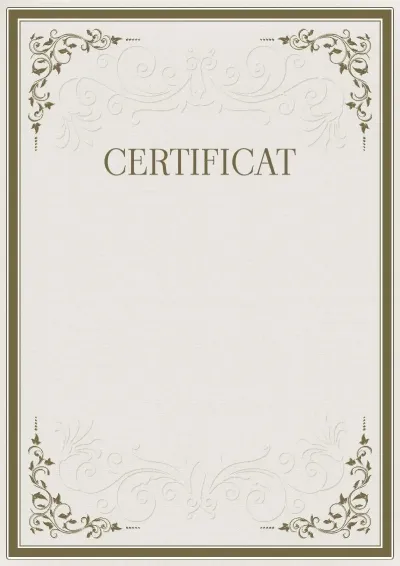 Modèle de certificat solennel «Rigueur des motifs»