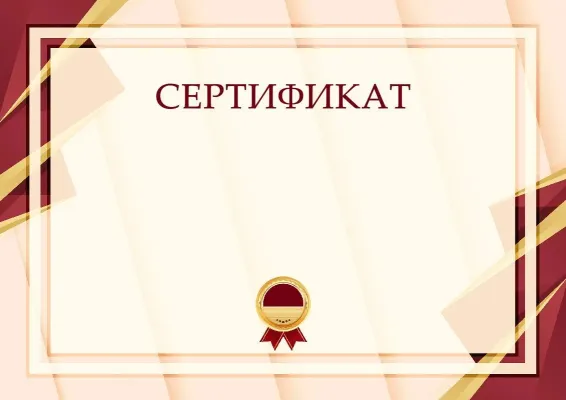 Салтанатты сертификаттың үлгісі «Жетістік формуласы»