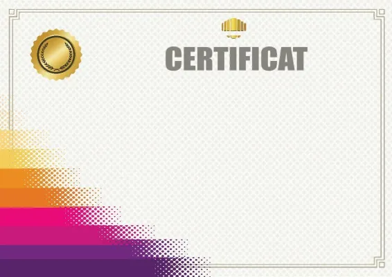 Шаблон certificats «Градиент победы»