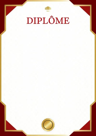 Шаблон diplômes «Деловой стандарт»