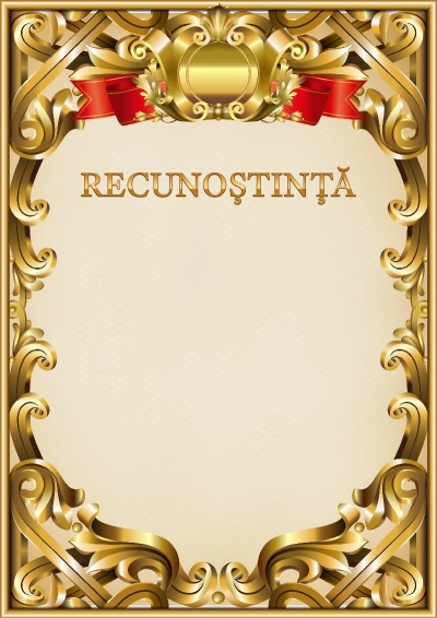 Șablon oficial de mulțumire nr. 8