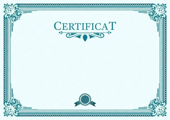 Șablon de certificat „Spectrul leadershipului”