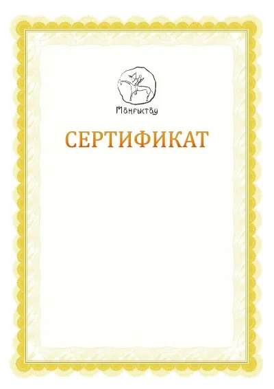 Ресми сертификаттың №17 үлгісі
