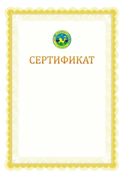 Ресми сертификаттың №17 үлгісі