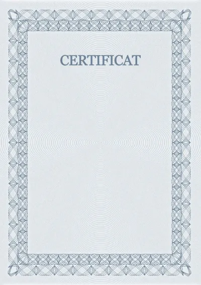 Șablon de certificat solemn nr. 5