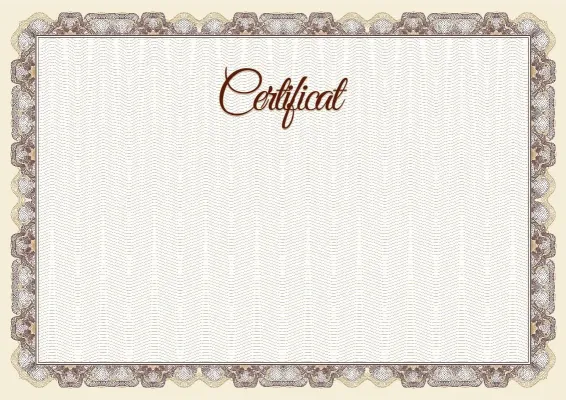 Modèle de certificat solennel « Platine Noble »