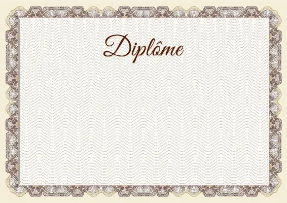 Modèle de diplôme solennel « Platine Noble »