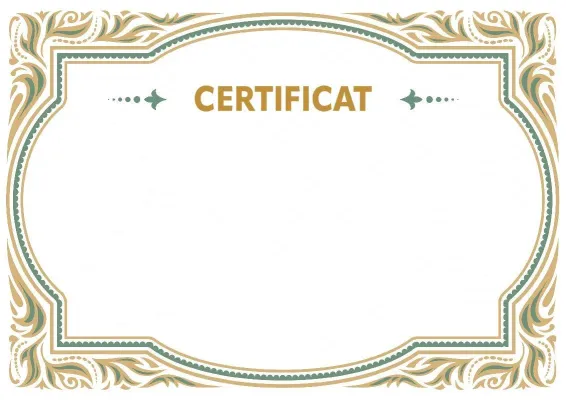 Modèle de certificat solennel «Motif luxueux»