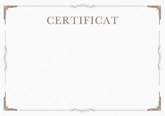 Șablon de certificat solemn «Minimalism»