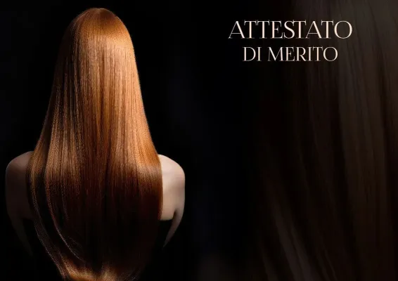 Modello di attestato artistico «Splendore del Fascino»