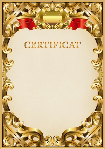 Șablon oficial de certificat nr. 8