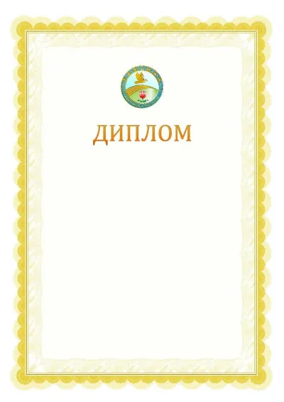 Ресми дипломның №17 үлгісі