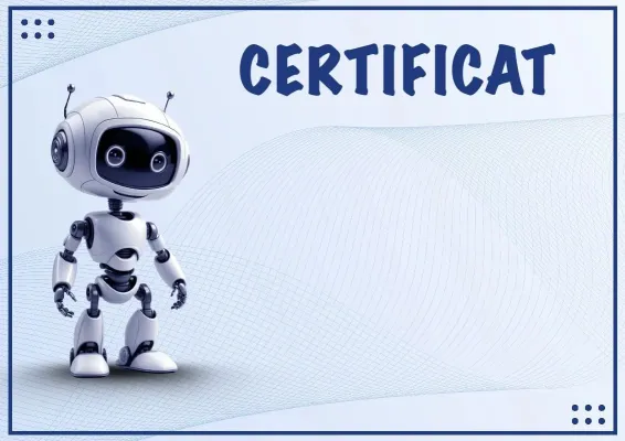 Certificat „Roboboom”