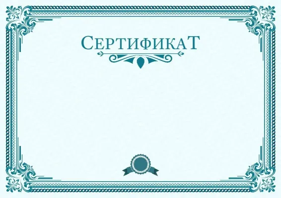 «Көшбасшылық спектрі» сертификат шаблоны