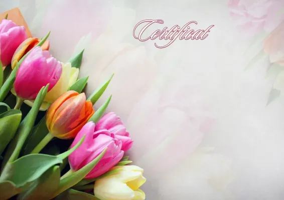 Modèle artistique de certificat «Tulipes de printemps»