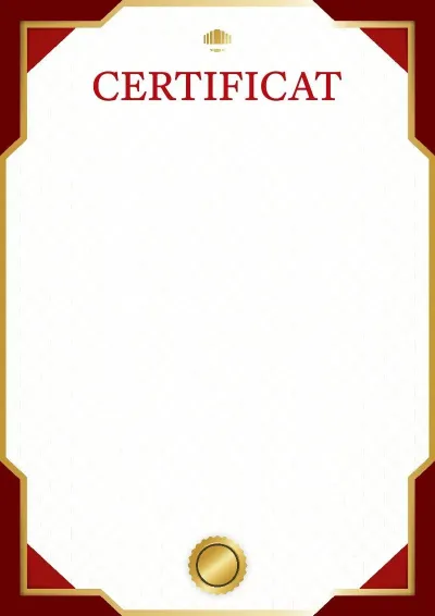 Шаблон diplômes «Деловой стандарт»