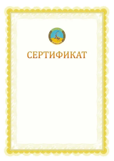 Ресми сертификаттың №17 үлгісі